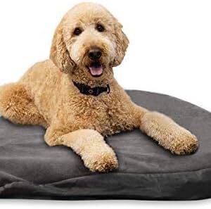Klymit Moon Dog Bed for Backpacking, Camping and Travel