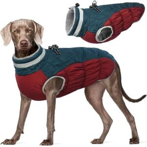 Kuoser Warm Dog Coat, Windproof Dog Jacket, Reflective Dog Coat for Small Dogs, Dog Coat Winter Outdoor, Hunter Dog Coat with Zip, Blue, XXXL