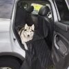 NOBBY 60900 Protective Car Seat Cover W x D: 137 x 147 cm