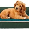 PETCUTE Dog Bed for Medium and Large Dogs, Orthopaedic Dog Sofa Dog Basket with Memory Foam, Non-Slip Underside, Washable Dog Bed Large Dogs with Removable Washable Cover