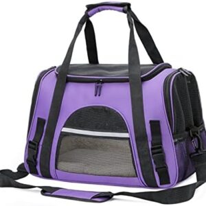PETCUTE Transport Box for Dogs and Cats, Foldable Transport Bag for Cats up to 9 kg, Cat Transport Box, Dog Carry Bag with Removable Mats, Reflective Strips, Adjustable Shoulder Strap