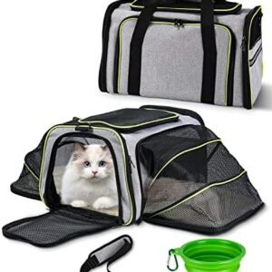 Pet Carrier with Pet Mat, Dog Carrier Bag, Cat Carrier, Foldable Pet Backpack, Large Cat Backpack, Breathable Cat Bag, Carry Bag, Dog Cat in The Car, Plane (Green)