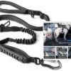 Tapylove Dog Lead – Dog Buckle for Car – Bungee Dog Belt – Flexi Lead – 1.24 m to max. 1.75 m – Suitable for All Hooks (Isofix etc.) – Includes Bag