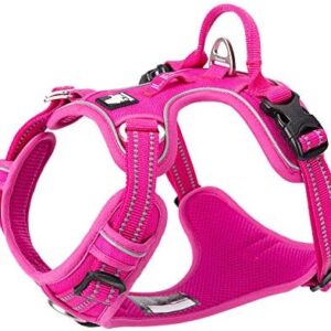 WINHYEPET True Love No-Pull Dog Harness Extra Reflective Pet Harness for Small Medium Dogs Adjustable for Walking Padded Soft Mesh Vest Easy Control TLH56512