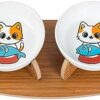 WOODLY Cat Bowls, Ceramic Double Cat Feeding Bowl, Colourful & Cat Bowl, Raised Cat Bowl with Wooden Stand, Set of 2 Cat Feeding Bowls, Feeding Station for Cats and Small Dogs
