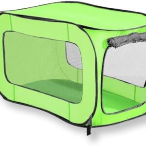 Beatrice Home Fashions Portable, Collapsible, Pop Up Travel Pet Kennel, 32.5" L x 19.5" W x 19.5" H, Green