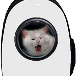 Best Answer Pet Backpack, White, Carrying Bag, Spaceship, Capsule, Pet Bag, Cats, Dogs, Pet Supplies, Dome-Shaped, Bag, Travel, Outing, Stylish, White