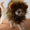 Bello Luna Lion Mane Wig for Dog and Cat Costume Pet Adjustable Washable Comfortable Fancy Lion Hair Dog Clothes Dress for Halloween Christmas Easter Festival Party Activity
