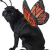 California Costume Collections PET20164 Monarch Butterfly Dog Costume, X-Small