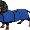 Geyecete - Warm Raincoat for Dachshund, Winter Coat for Dogs with Warm Fleece Lining and Adjustable Straps, Winter Jacket for Small and Medium Dogs, Blue-M