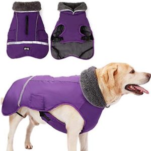 Jranter Waterproof Windproof Dog Coat Cold Weather Warm Dog Clothes Clothes Jackets for Small Large Medium Girls Boys Outdoor Indoor Activities Purple XX-Large