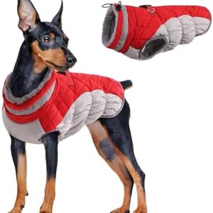 Dog Coat Waterproof Winter Warm Dog Jacket Windproof Anti-Snowsuit Dog Clothing Outfit for Small Medium and Large Dogs (Red, S)