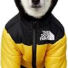 Dog Winter Coat, Stylish Dog Jacket Waterproof for Small Medium Dogs Cats Thick Dog Coat Windbreaker Puppy Winter Clothes for Cold Weather Snow Day