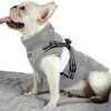 BabyDog Fleece Lined Dog Coat Harness with Ring Adjustable Zipper Sleeveless S 199 Grey